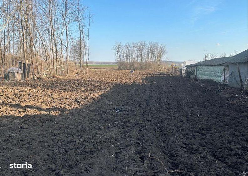 Vand teren intravilan Chiselet Calarasi - 4