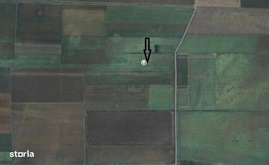 cota 1/2 din teren extravilan-Loc. Dor Marunt, jud Calarasi, - 2