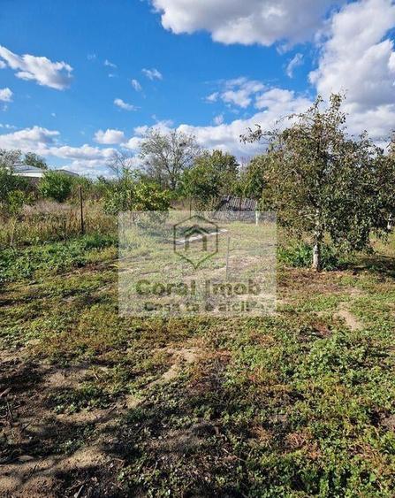 Inchiriere casa comuna 1 decembrie - 13