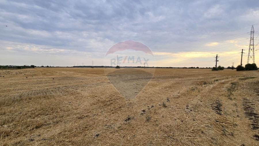 Teren intravilan Buftea, soseaua Tamasi - 4