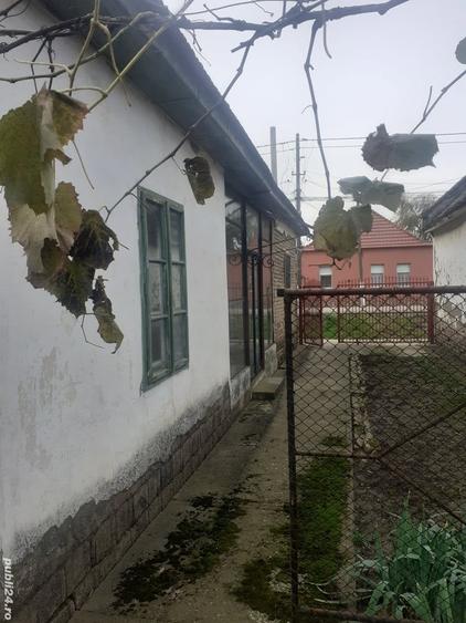 Casa de vanzare Teremia Mare - 1