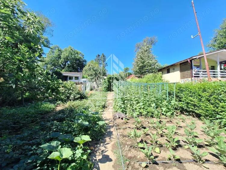 Cabana cu 3 camere, 392 mp teren, 3 Insule - 1