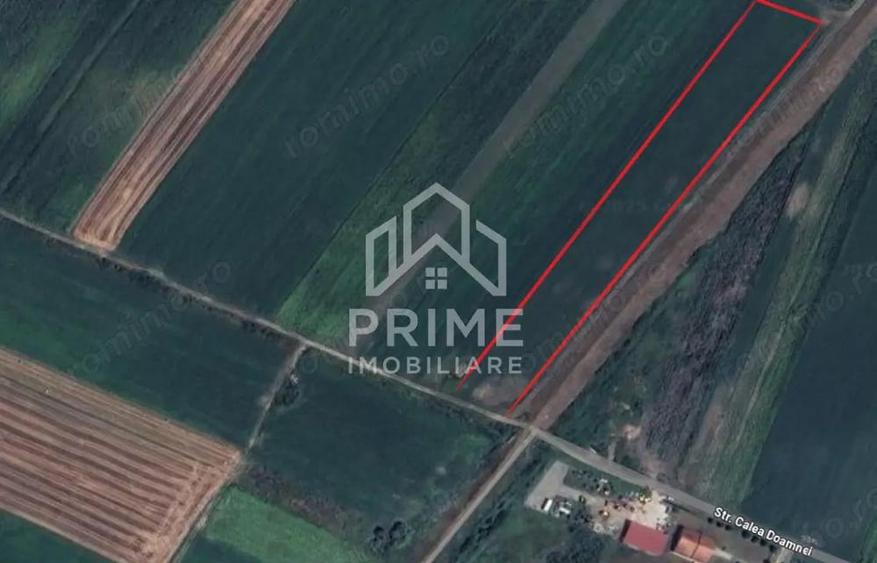 DE VANZARE - TEREN AGRICOL - 8275 MP, 2 FRONTURI STRADALE - CIUGUD INTRAVILAN - 1