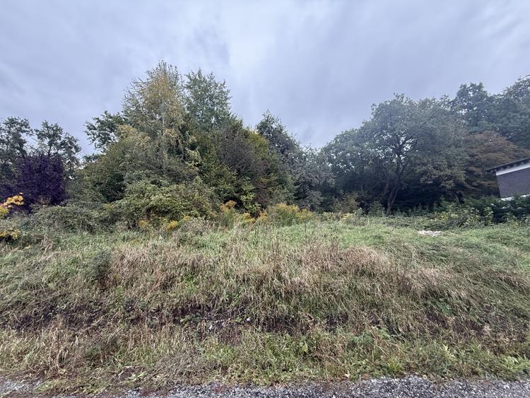 Teren intravilan 1000 mp in Faget - Strada Antonin Ciolan, langa padure - 1