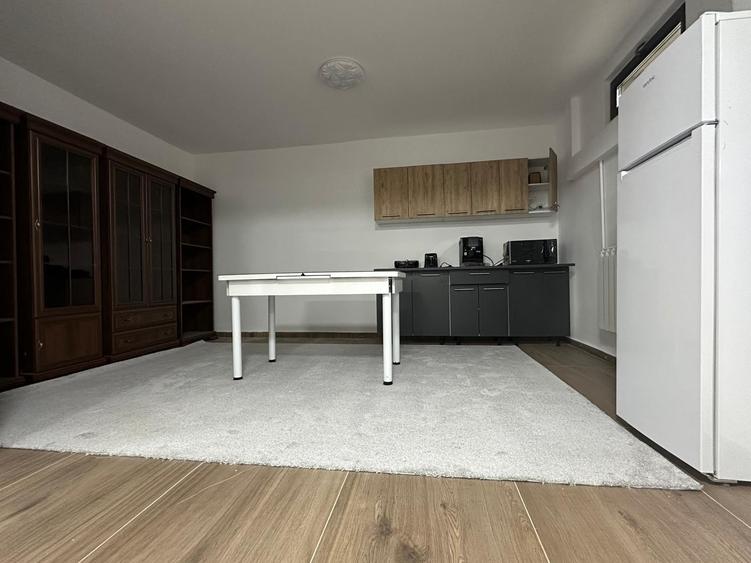 Ansamblu Rezidential / Vile Individuale Cuplate/ Demisol Locuibil - 5