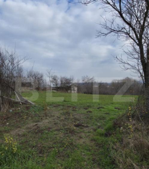 Teren intravilan 3000mp ,sat Plopu, Prahova - 1