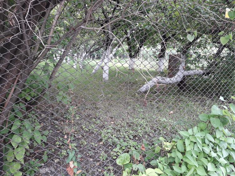 Teren deosebit de 652 mp, front 19 m, inre case, in Andrei Mureșanu - 3