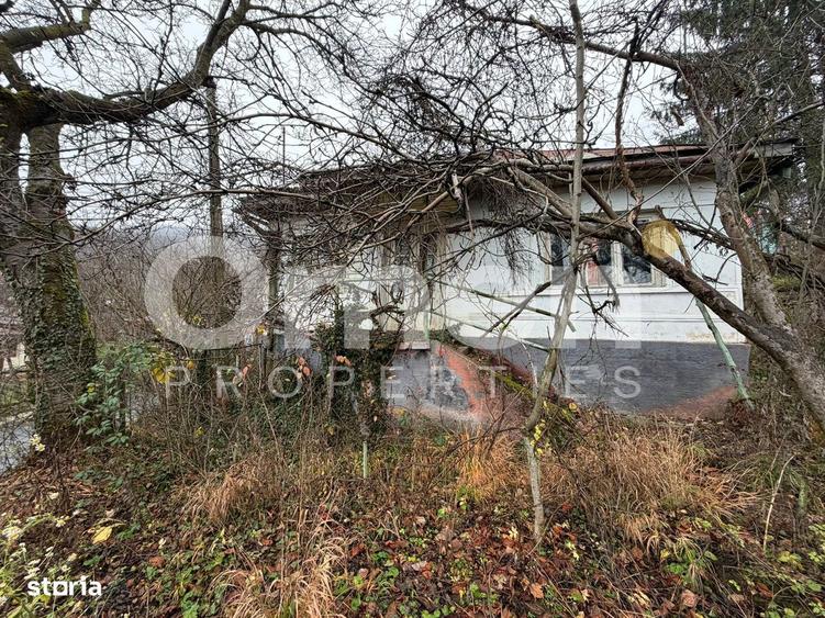 Casa renovabila, cu 6 ari de teren, zona linistita, Baia Sprie - 13