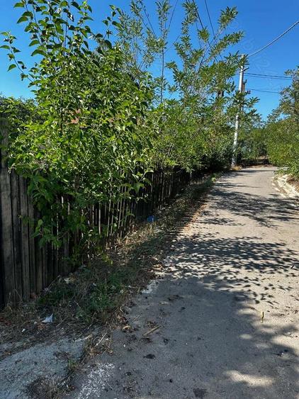 Casa batraneasca - 5