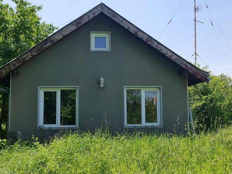 Teren intravilan 10.000mp cu utilitati, imprejmuit, Loc. Sanleani langa Amatex - 10