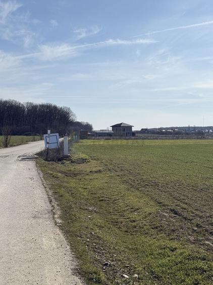 Ciolpani Padurea Snagov - zona Orangerie, Mega Image, Penny - 6