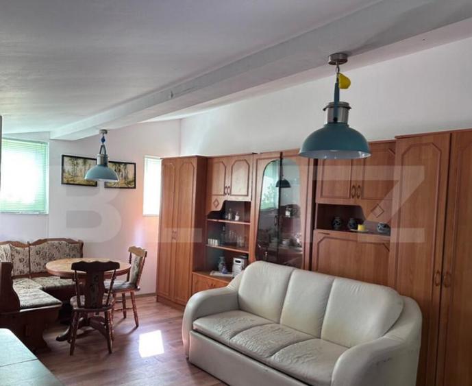 Cabana de vanzare in Beli? - 15