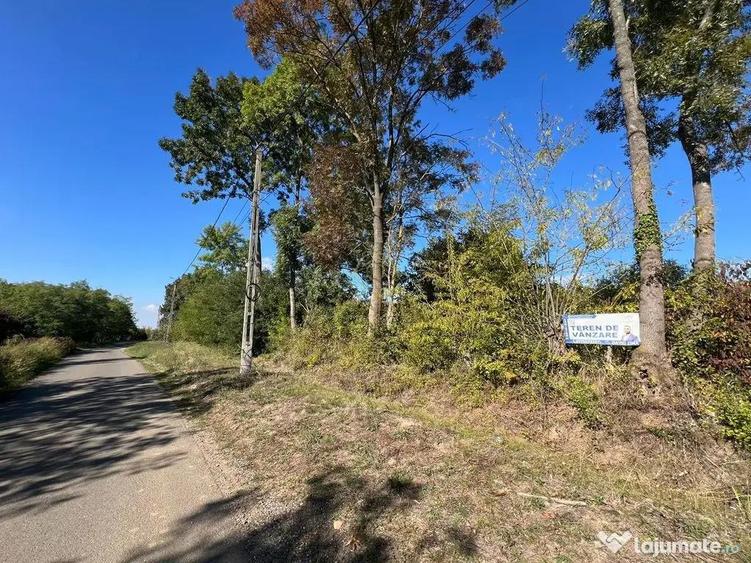 De vanzare Teren Intravilan Viile Satu Mare /Parcelabil/Z... - 5