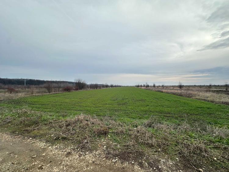 Loturi Teren GULIA Dambovita / 6 Loturi / 545mp - 4