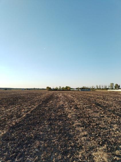 Teren Construcții intravilan de 5000 mp, în Ciolpani