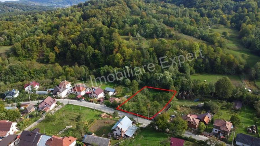 Teren de vanzare in comuna Arefu, sat Arefu, jude? Arge?. - 9