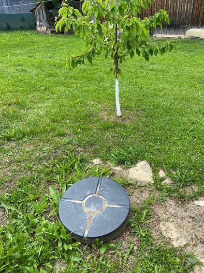 Teren de vanzare in Aiton - 4