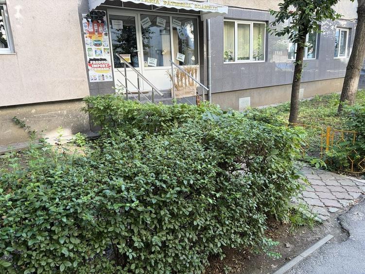 Spatiu comercial de inchiriat 40mp - 2
