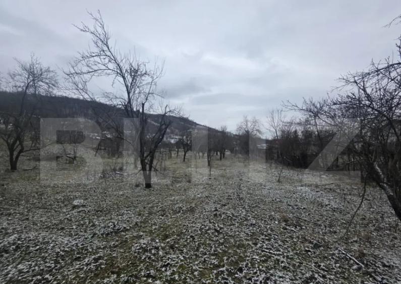 Teren intravilan, 9066 mp, zona Aninoasa - 4