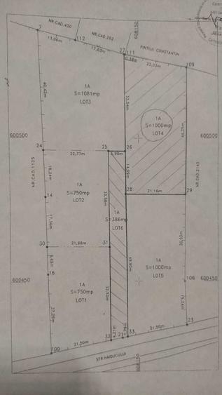 Teren Dumbrava Rosie str. Haiducului la doar 6,5 km de centru P. Neamt - 7