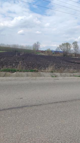 Teren de vanzare - 4