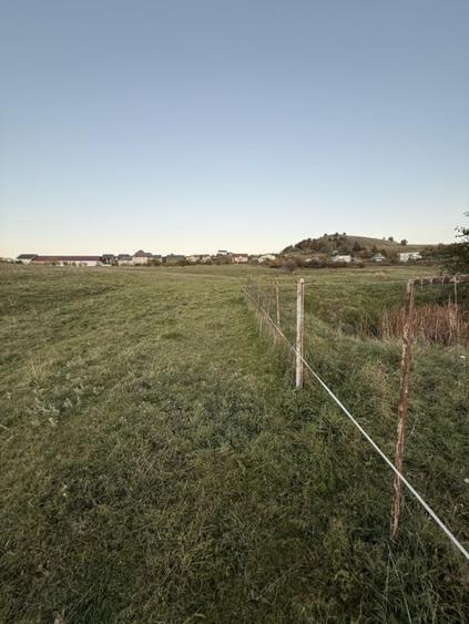 Teren extravilan de vanzare in Salicea 916mp+84mp drum necesita PUZ - 8