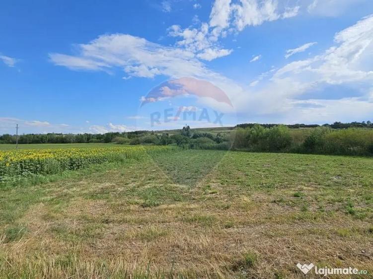 Teren extravilan 12000 mp- Padureni-?endriceni, Boto?ani - 4