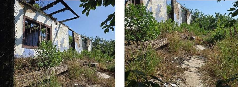 Casa si teren Cucuruzu, ID: R2609648 - 1