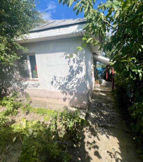 CASA MOARA GRECILOR,VASLUI - 4