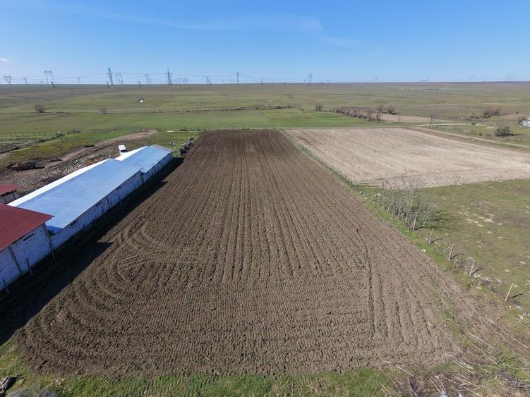 Teren intravilan 6500mp imprejmuit - 5