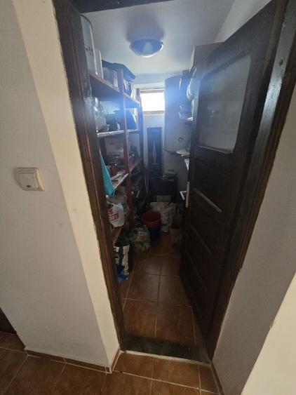 Casa oras Vanju Mare - 14