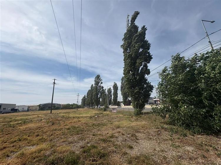 RECO Teren intravilan zona Borsului 5043 mp - 3