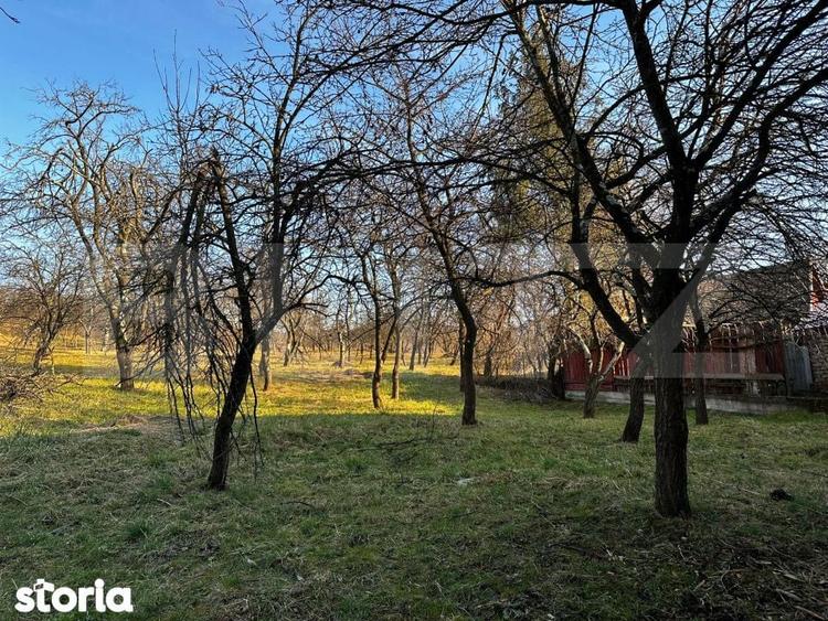 Casa cu 4 camere,baie, bucatarie,anexe.pivnita teren 2500 mp - 4