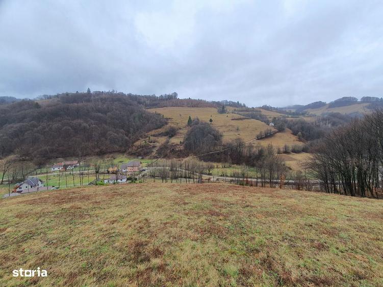 Teren Poiana Marului pretabil investitie 5 euro/mp - 4
