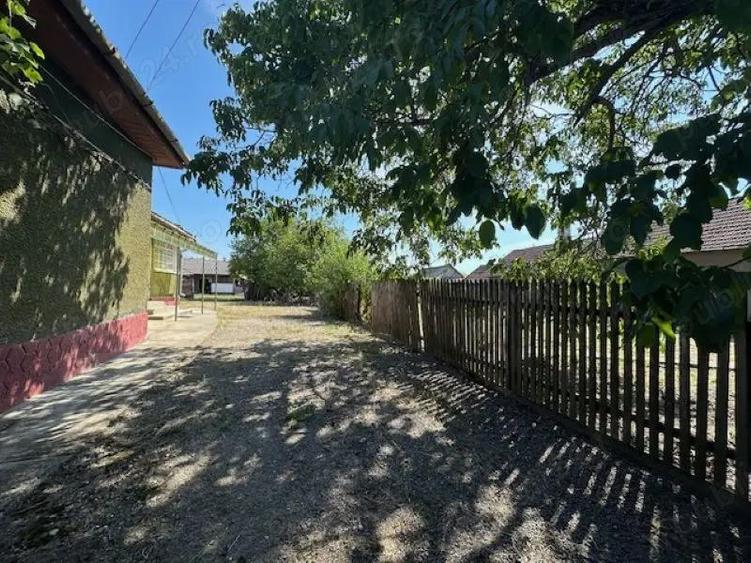 Casa cu teren de 6060 mp | LOC. BICACI | BIHOR - 4