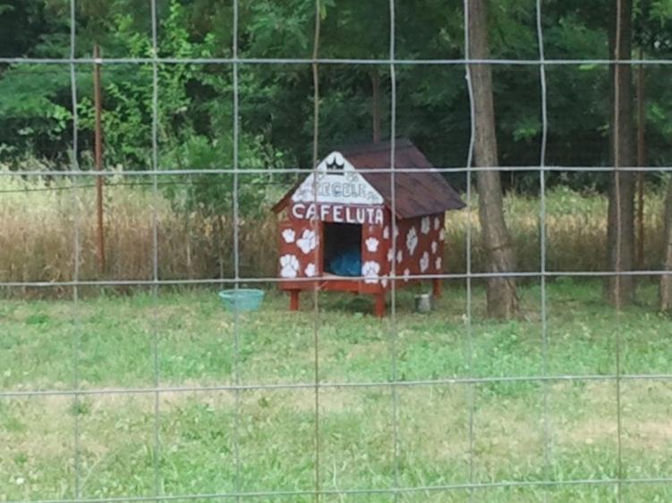 Teren Bujoreni cu utilitati ideala pentru casa - 1