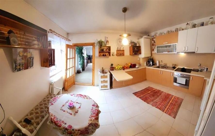 Vila Cristian, mobilata si utilata, gradina, pomi fructiferi, spatii recreere - 3