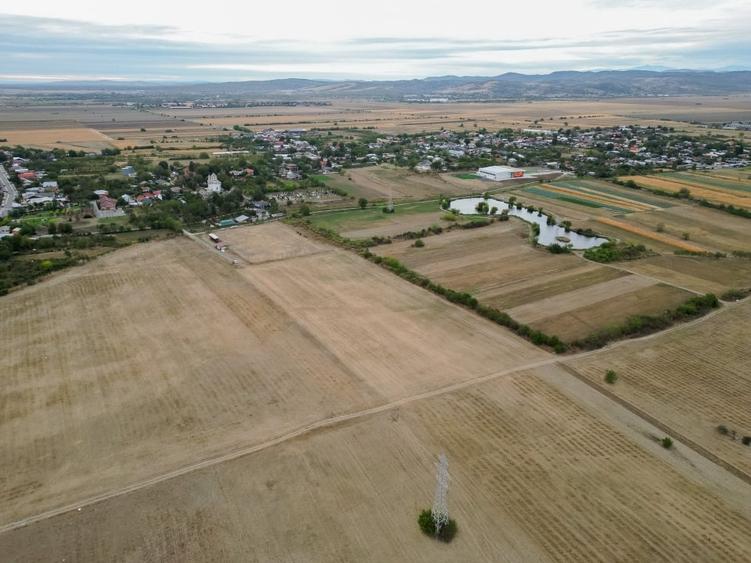 Teren intravilan 30.110 mp – Filipeștii de Târg, Prahova - 5