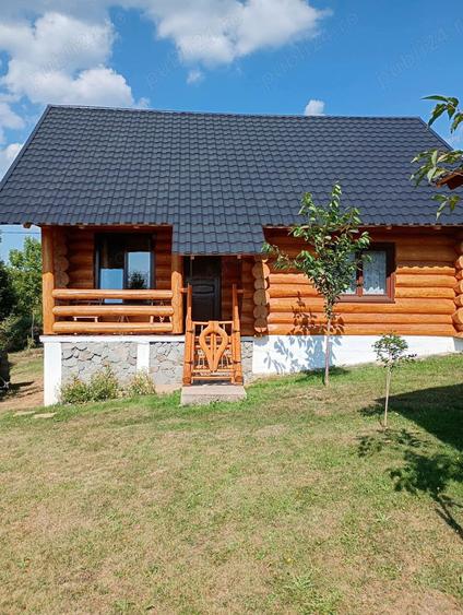 Proprietate montana cu doua cabane,5000mp teren-Costesti,judetul Alba altitudine1200m ideal investit - 4