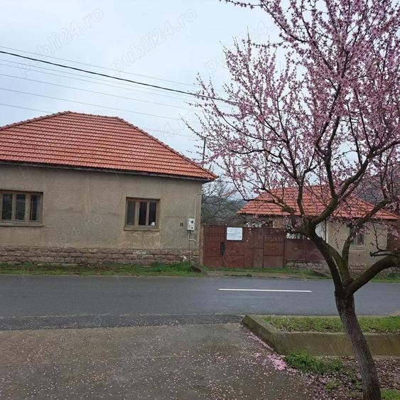 Vand casa Urvi? de Beiu? - 8