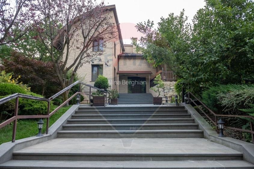 Vila spectaculoasa de vanzare in Faget