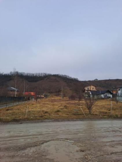 Teren intravilan pentru constructii in Sinnicoara - Sub Coasta, Apahida - 2