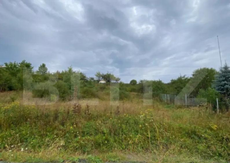 Teren intravilan 10 ari Valea Rusului-Zona Pensiunea Mor - 1