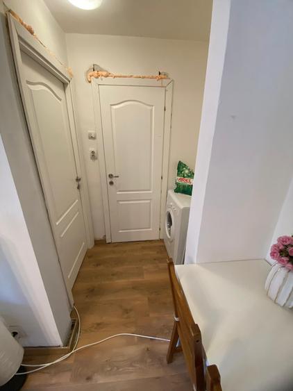 Lacul Tei x Teiul Doamnei, langa Facultatea de Constructii si Parcul Tei - 7