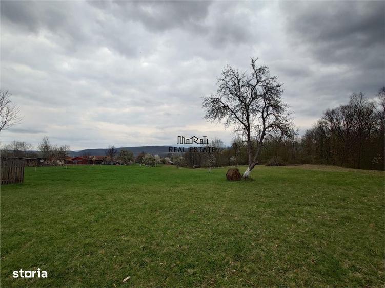 10 000 mp teren intravilan cu priveliste - 8