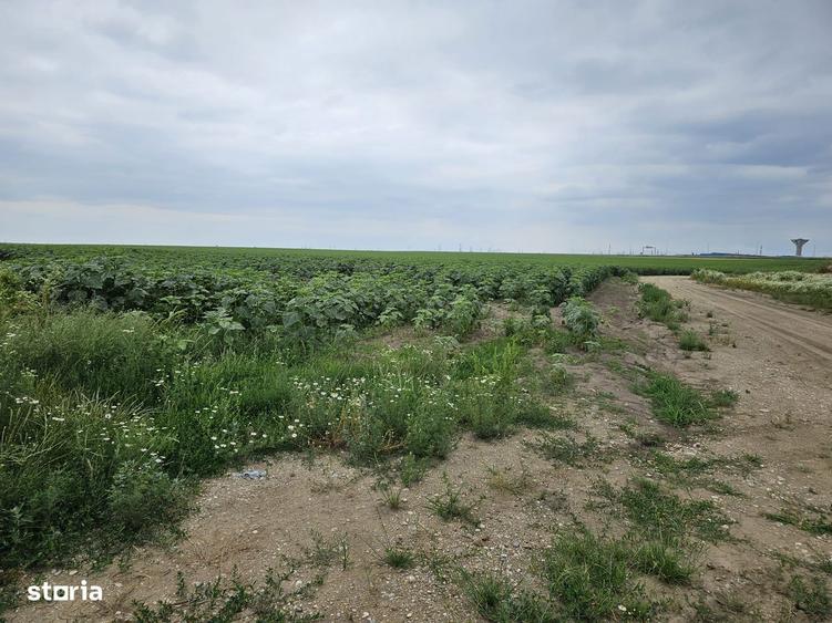 Planul I 14.832 mp Slatina bucla Drum Expres DX12 - DJ 546 - 6