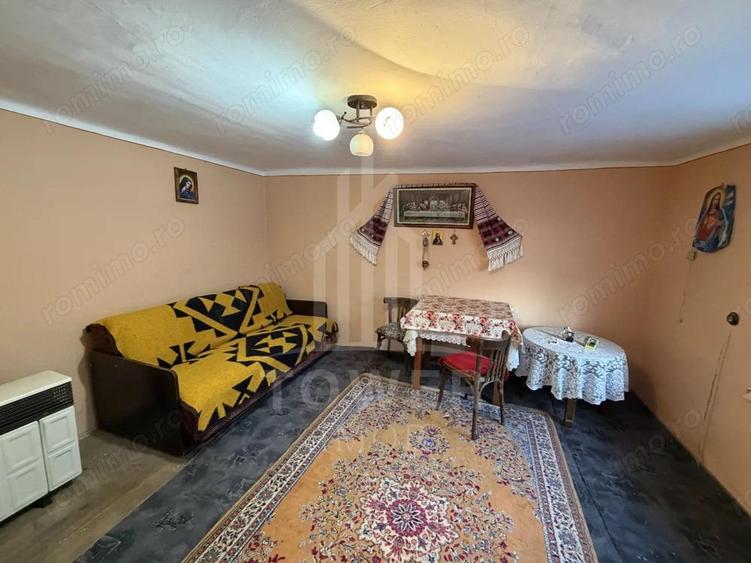 Casa de vanzare in Ocna Sibiului oportunitate de investi?ie - 7