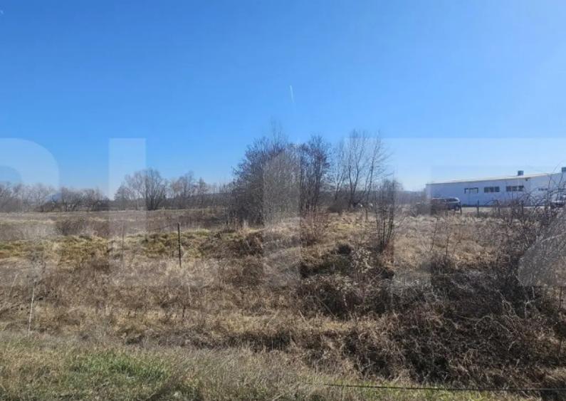 Teren intravilan, 3500 mp, pozitie strategica, Deva - 1