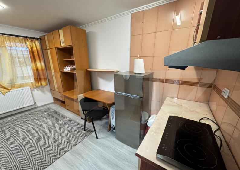 Camera de camin, 17mp, zona Bularga - 5