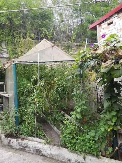 Casa de vanzare cu 3 dormitoare, garaj, gradina si atelier, zona Muncitoresc, Re - 8